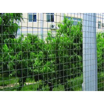 Hot Dipped Galvanized Welded Wire Mesh Filber